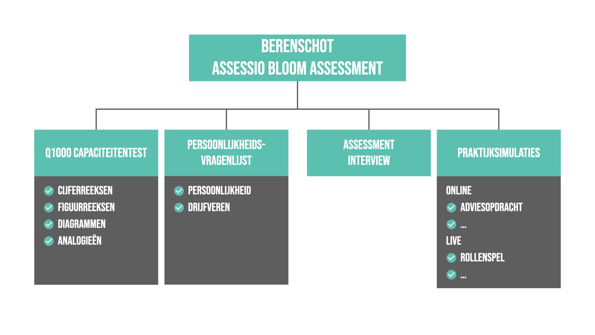 Berenschot Assessio Bloom assessment
