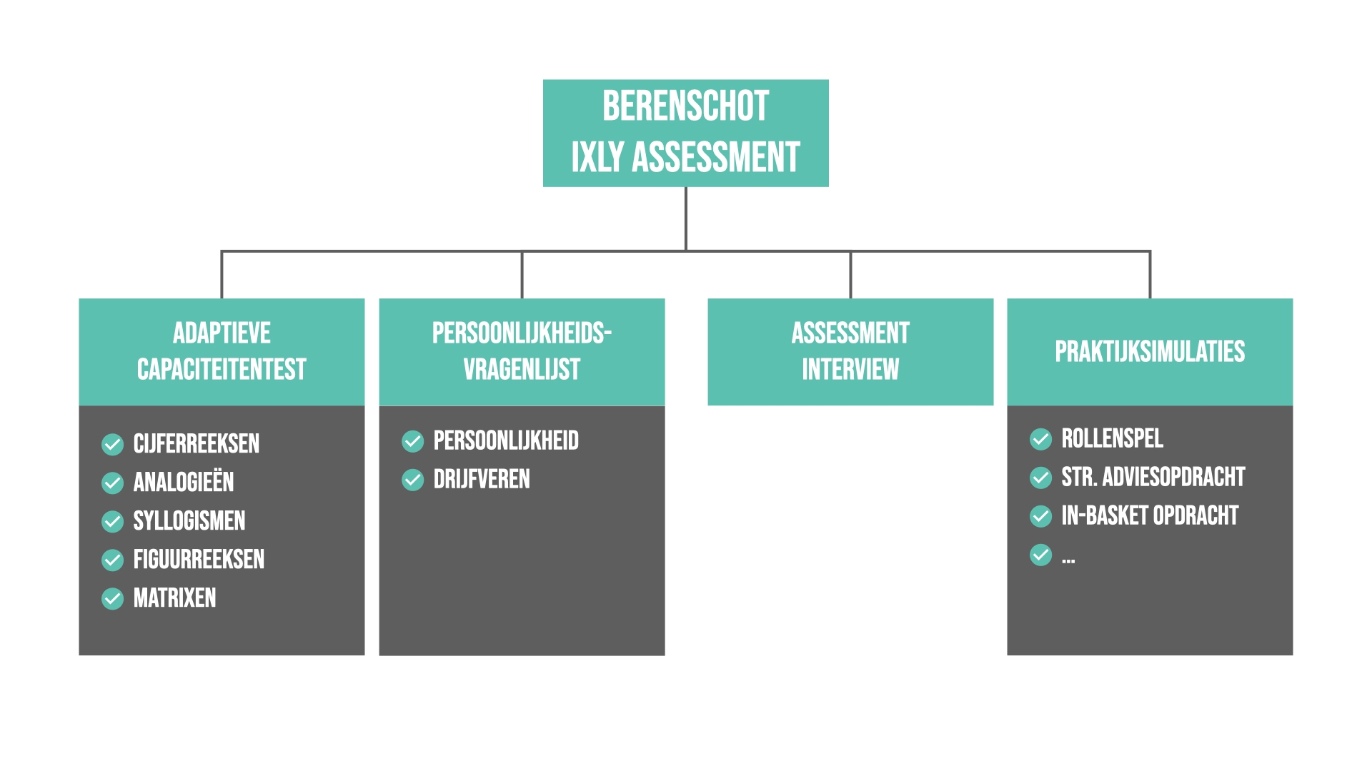 Berenschot IXLY assessment