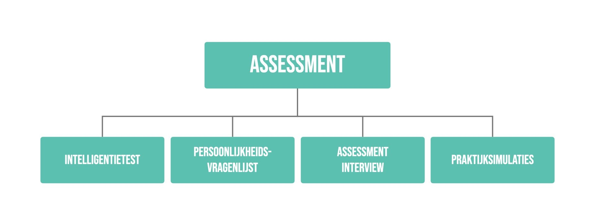 Assessment structuur