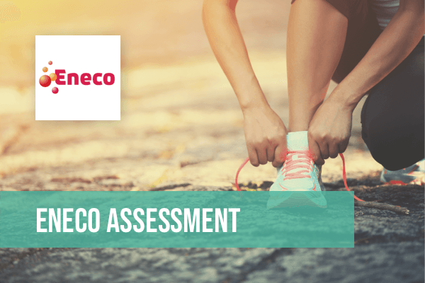 Eneco assessment